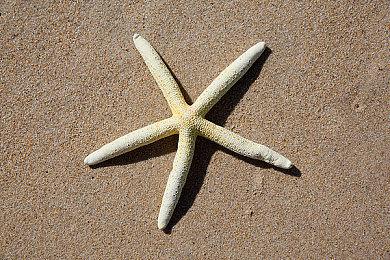 山冈晃为《寂静岭2：重制版》重新录制新老配乐